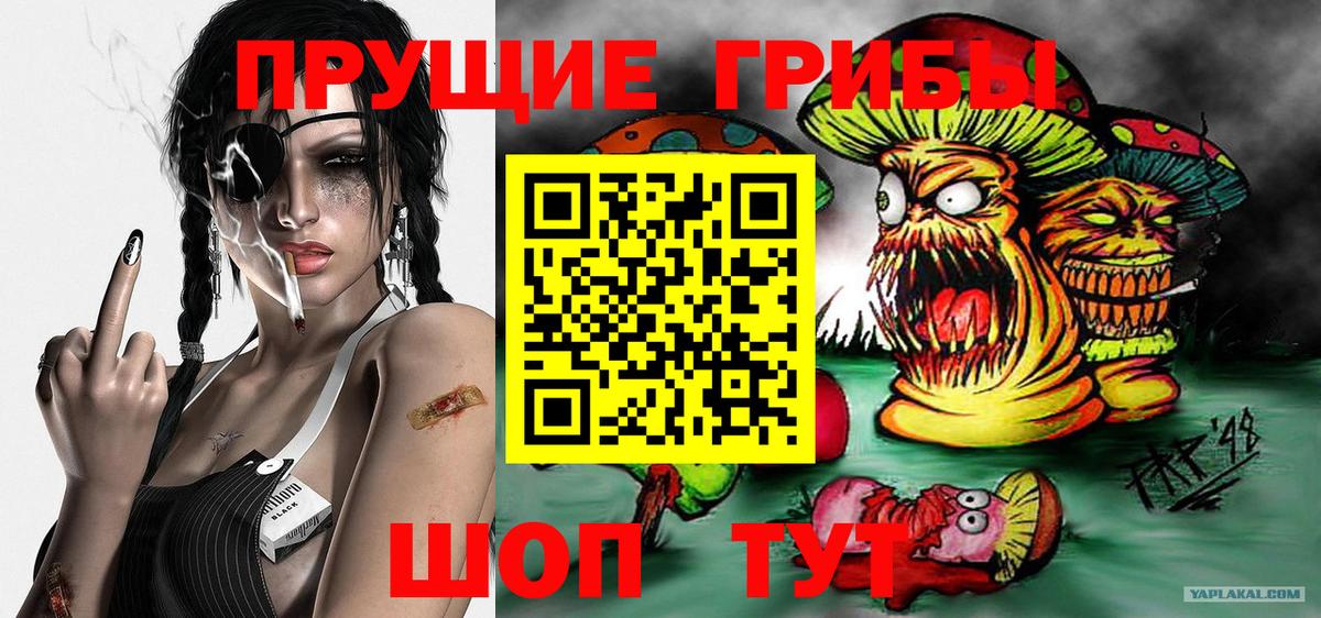 Псилоцибиновые грибы GOLDEN TEACHER  Вход с VPN  Менделеевск 